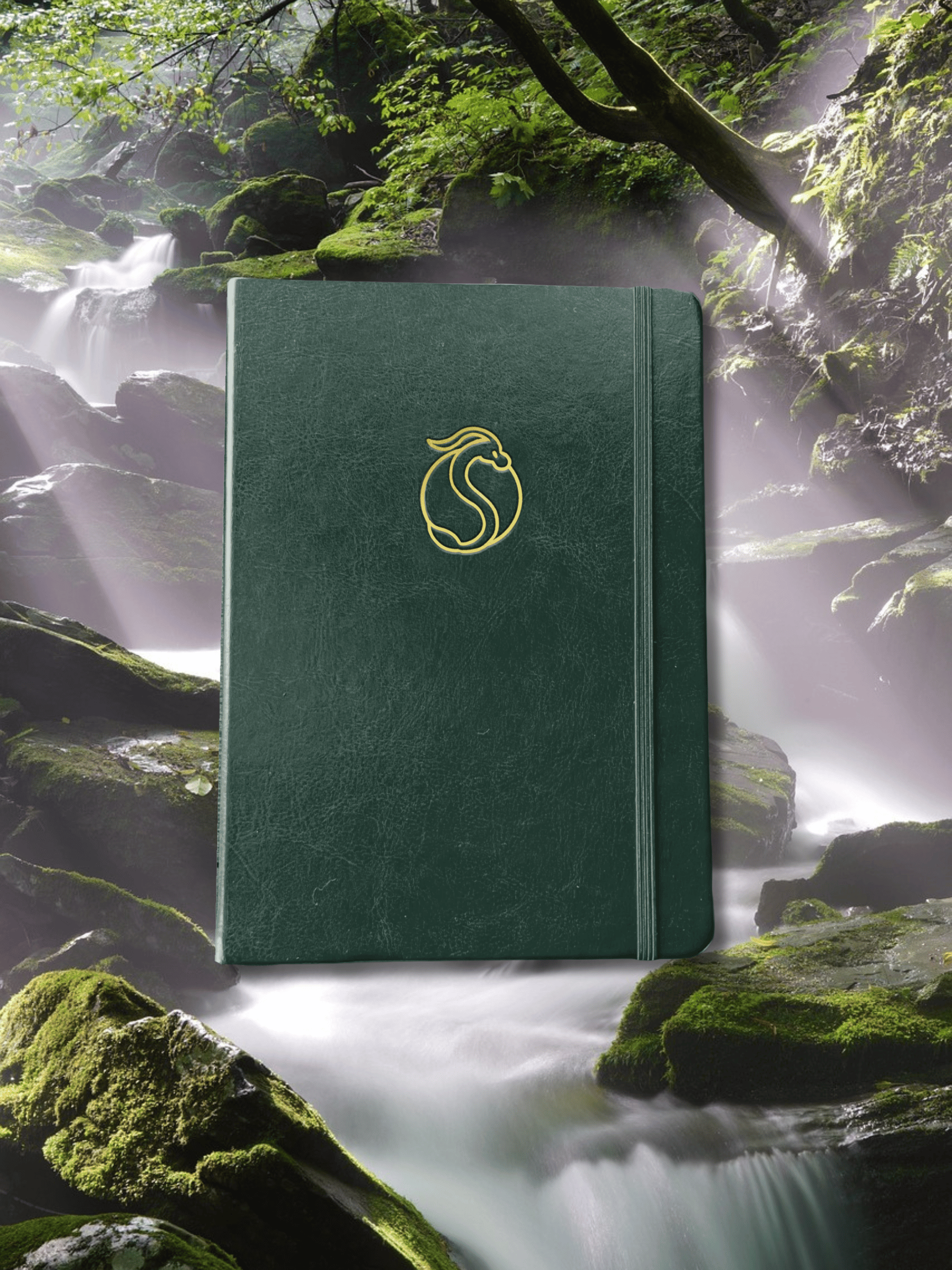 The Way Has Been Revealed